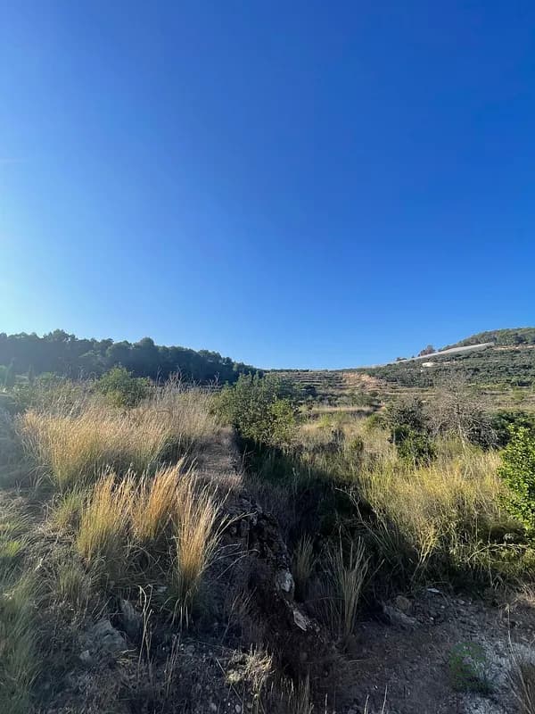 Agricultural property of 1,17 ha for sale in Alicante