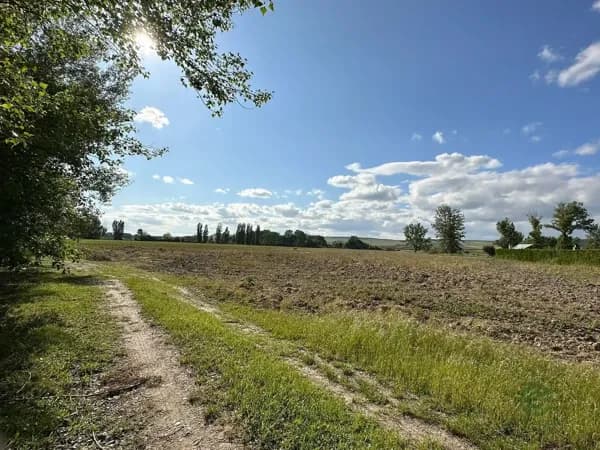 Finca agrícola de 4,5 ha en venta en Valladolid