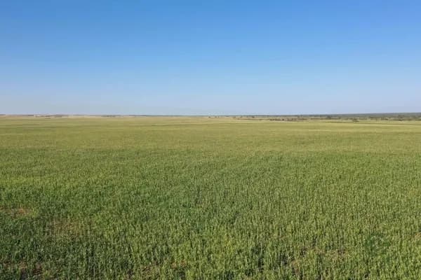 Finca rústica de 9386 ha en venta en San luis