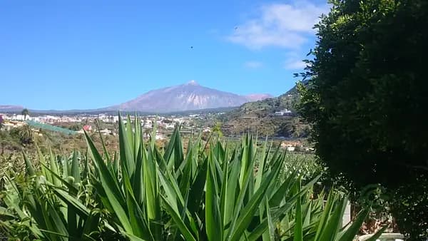 Finca rústica de 0,7 ha en venta en Tenerife