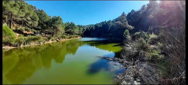 Finca cinegética de 180 ha en venta en Tarragona