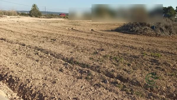 Terreno urbano de 2,15 ha en venta en Elche pedanias, Alicante