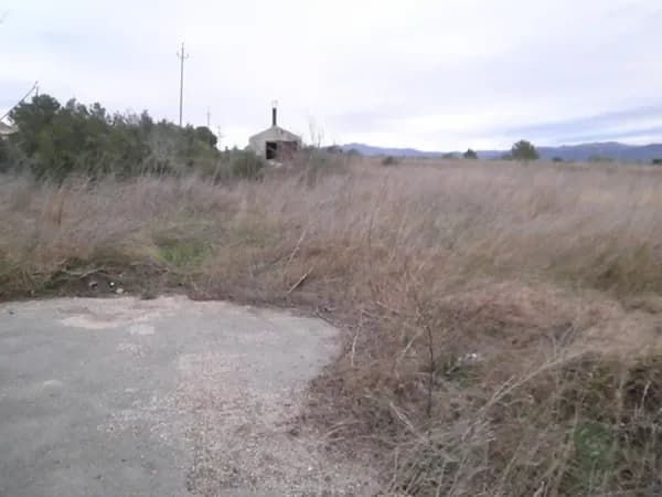 Spot image