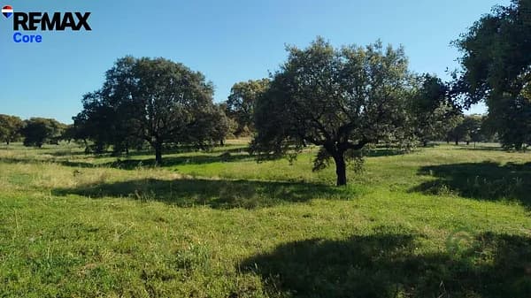 Finca rústica de 135 ha en venta en La codosera, Badajoz