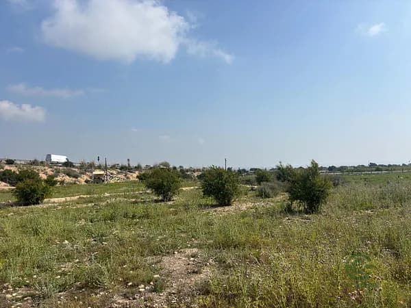 Finca rústica de 0,39 ha en venta en Elche pedanias, Alicante