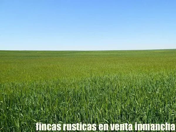 Finca agrícola de 295 ha en venta en Albacete