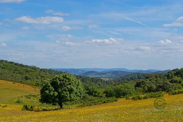 Rustic property of 829 ha for sale in Ciudad real