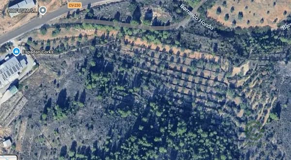 Finca agrícola de 1,5 ha en venta en Castellón