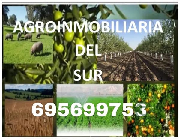 Finca rústica de 5 ha en venta en Sevilla