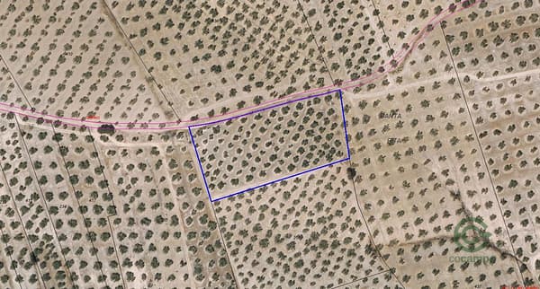 Finca agrícola de 0,8 ha en venta en Granada