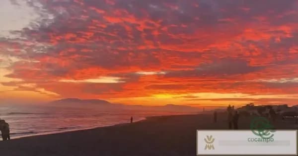 Terreno urbano de 0,1205 ha en venta en Rincon de la victoria, Malaga