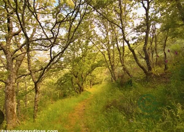 Finca agrícola de 1 ha en venta en Zamora