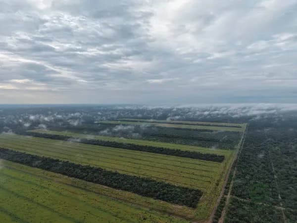 Finca rústica de 3458 ha en venta en Santiago del estero