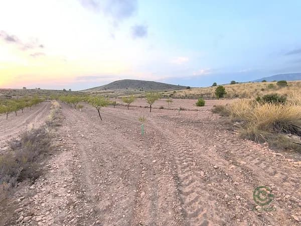 Spot image