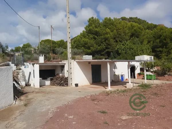 Finca agrícola de 4 ha en venta en Valencia