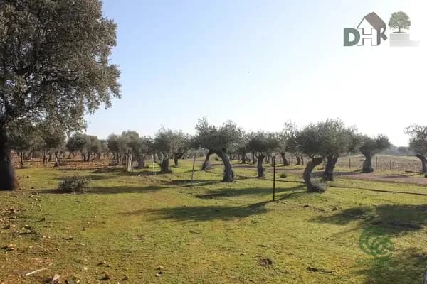 Finca rústica de 86 ha en venta en Cáceres