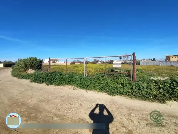 Spot image