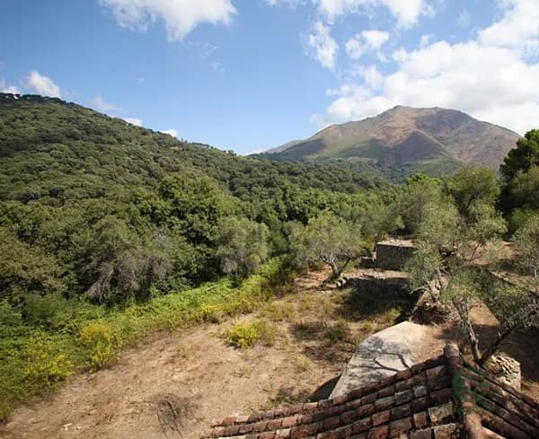 Finca rústica de 7,2 ha en alquiler en Casares, Málaga