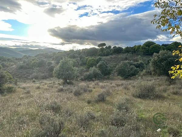 Finca rústica de 40 ha en venta en Madrid