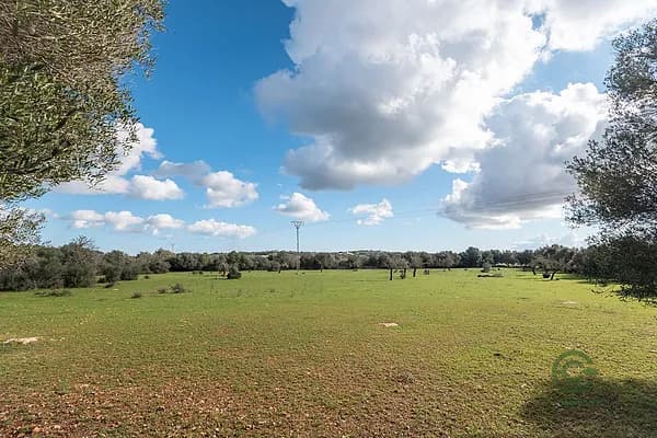 Finca rústica de 2,4 ha en venta en Ses salines, Islas baleares