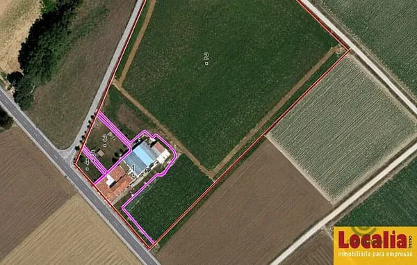 Spot image