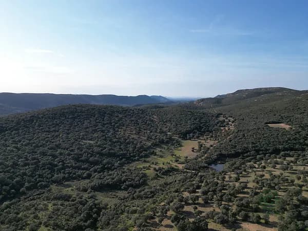 Rustic property of 750 ha for sale in Ciudad real