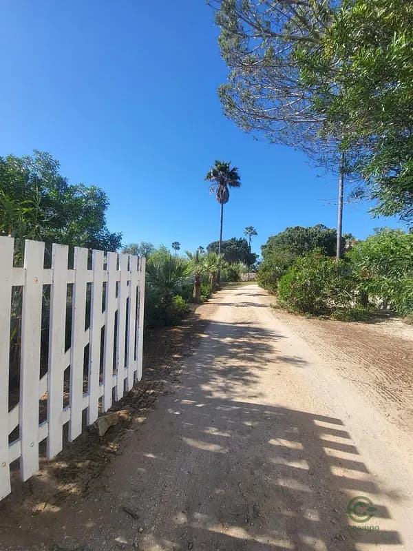 Finca rústica de 2 ha en venta en Faro