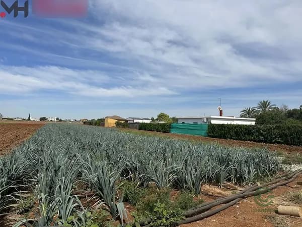 Finca agrícola de 0,88 ha en alquiler en Sevilla, Sevilla