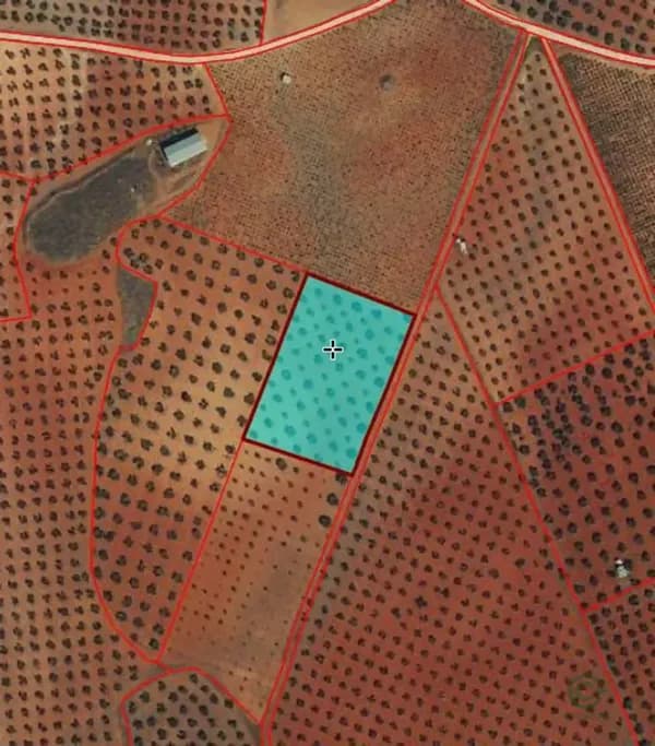 Spot image