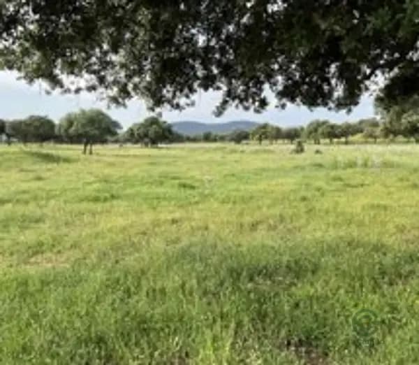 Finca rústica de 40 ha en venta en Madrid