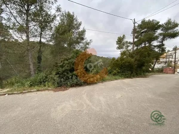 Spot image