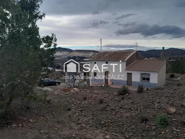 Spot image