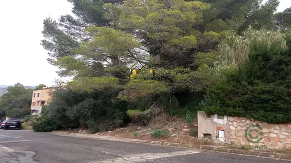 Spot image