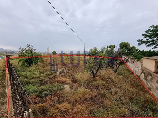 Spot image