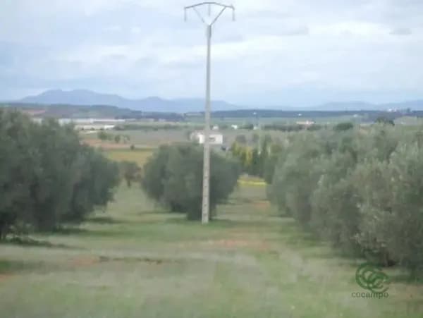 Finca agrícola de 0,31 ha en venta en Ciudad real