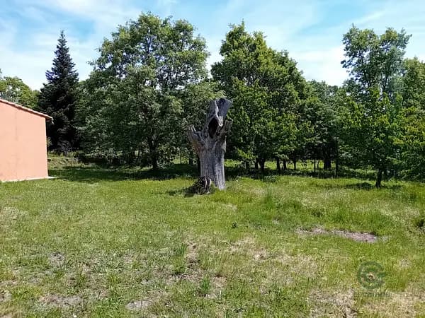 Finca rústica de 5 ha en venta en León