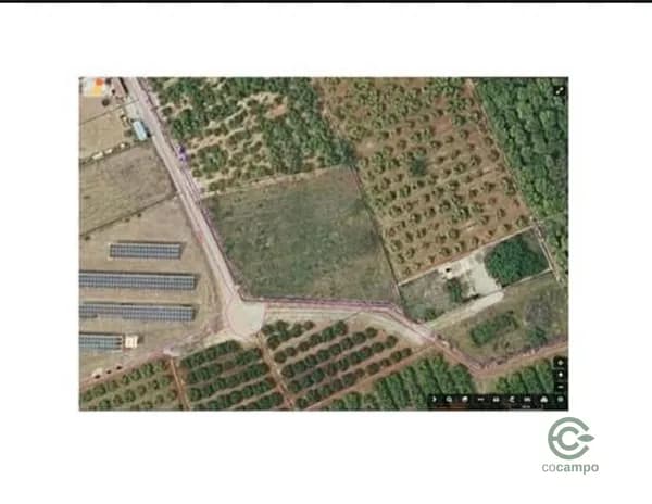 Finca rústica de 1,1243 ha en venta en Benidoleig, Alicante