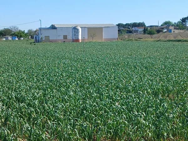 Finca agrícola de 3,7412 ha en venta en Albacete