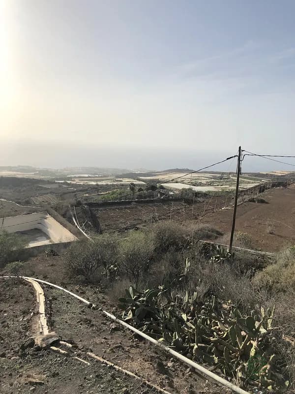 Finca agrícola de 8 ha en venta en Tenerife