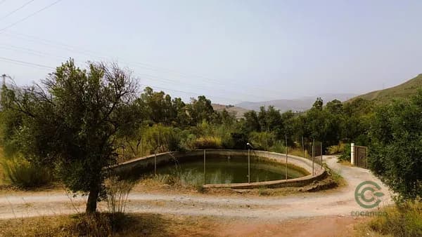 Spot image