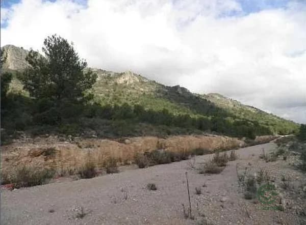 Spot image