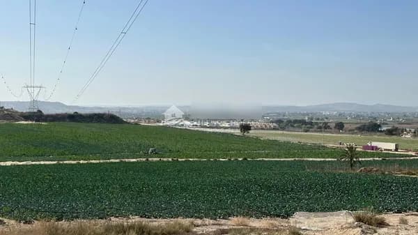 Terreno urbano de 1 ha en venta en Elche, Alicante