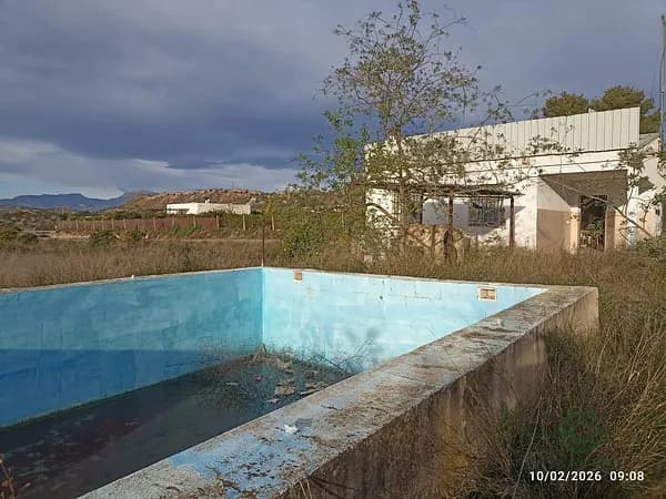 Spot image