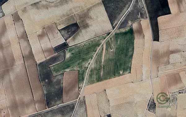 Finca agrícola de 10,3 ha en alquiler en Sevilla