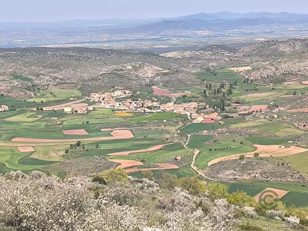 Finca agrícola de 24 ha en venta en Teruel
