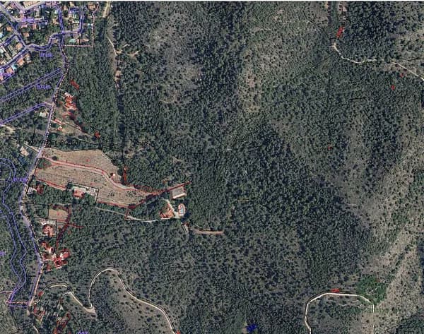 Spot image