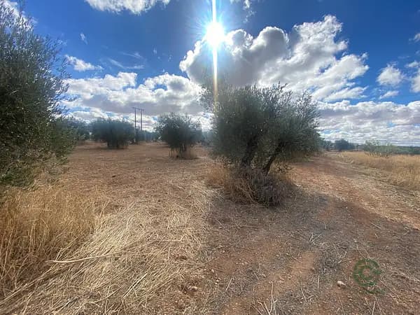 Finca agrícola de 1,35 ha en venta en Ciudad real