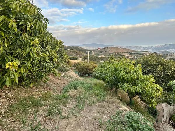 Finca agrícola de 1,26 ha en venta en Granada