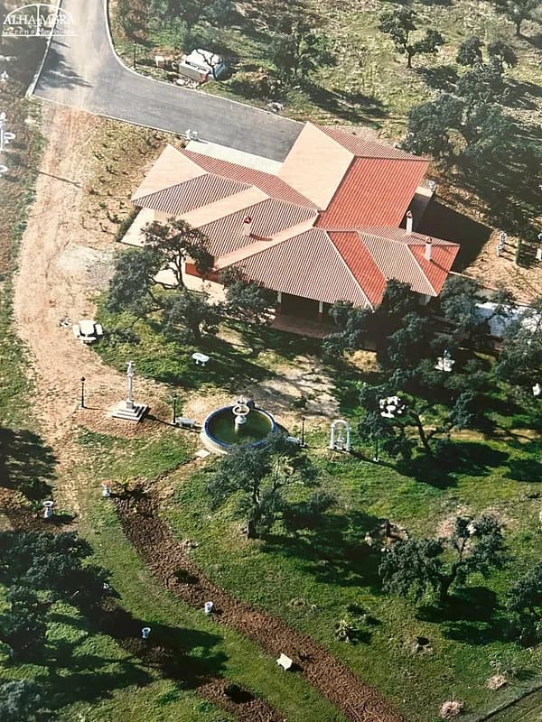 Spot image