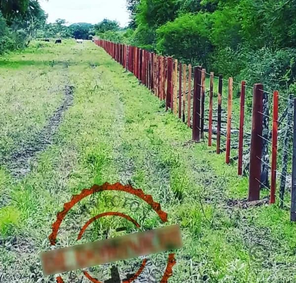 Finca rústica de 900 ha en venta en Formosa